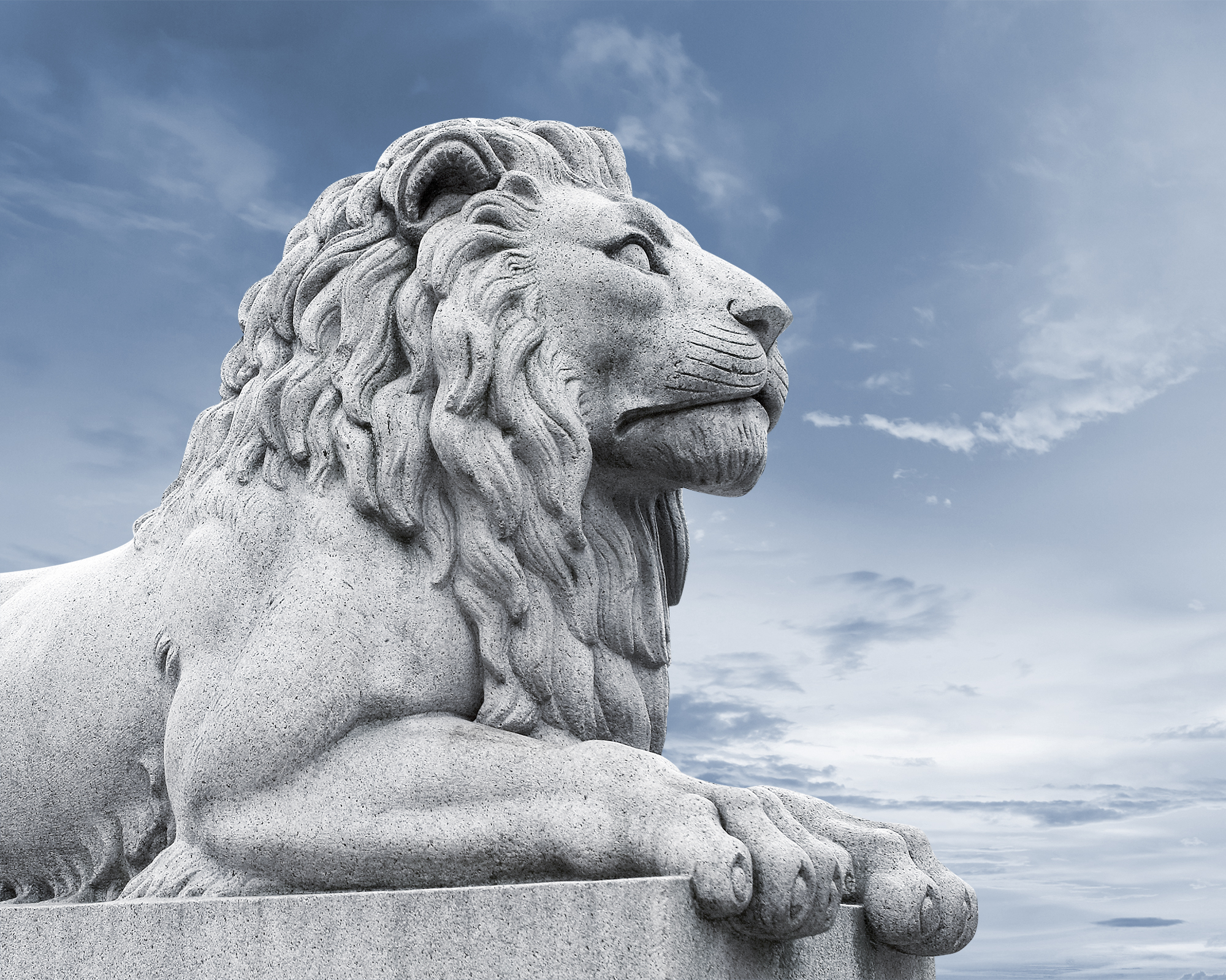 header_loewe1.jpg
