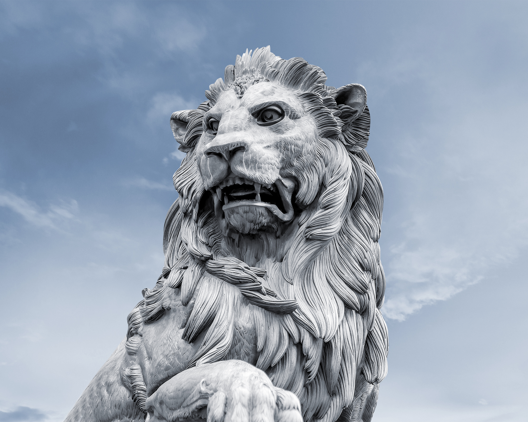 header_loewe4.jpg